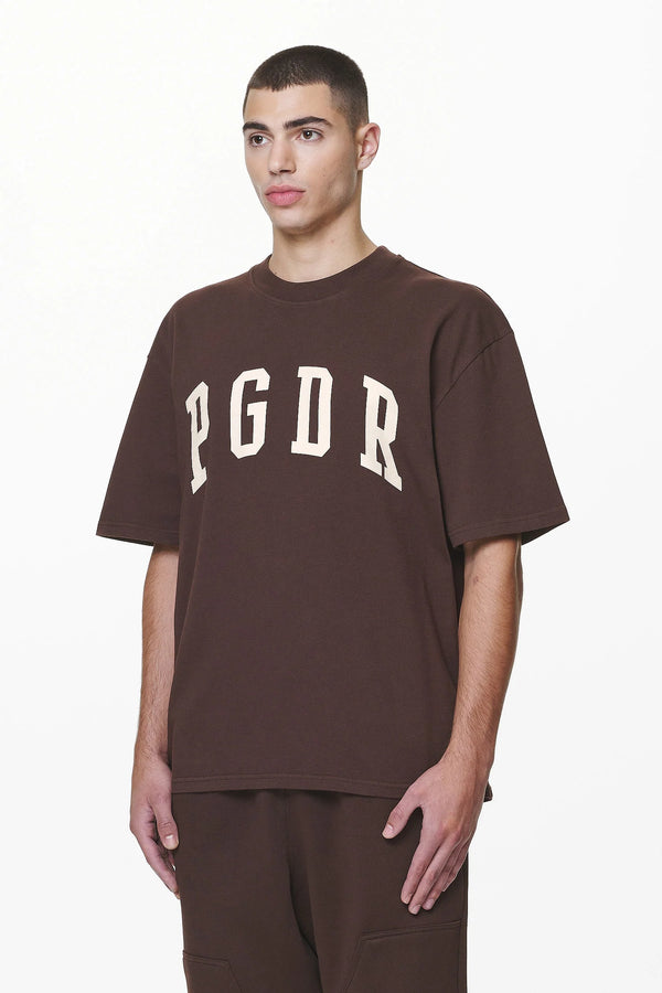 PEGADOR LAYTON OVERSIZED TEE WASHED OAK BROWN