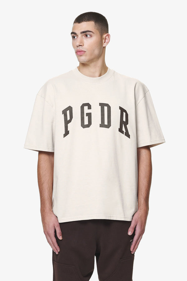 PEGADOR LAYTON OVERSIZED TEE WASHED DUST CREAM